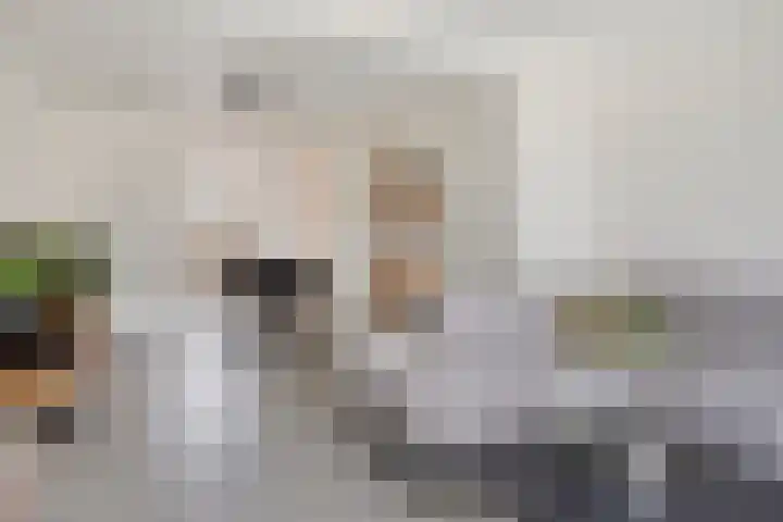 Oudeweg 31 Axel thumbnail 5