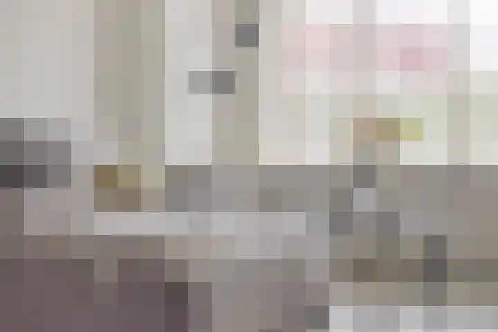 Oudeweg 31 Axel thumbnail 6
