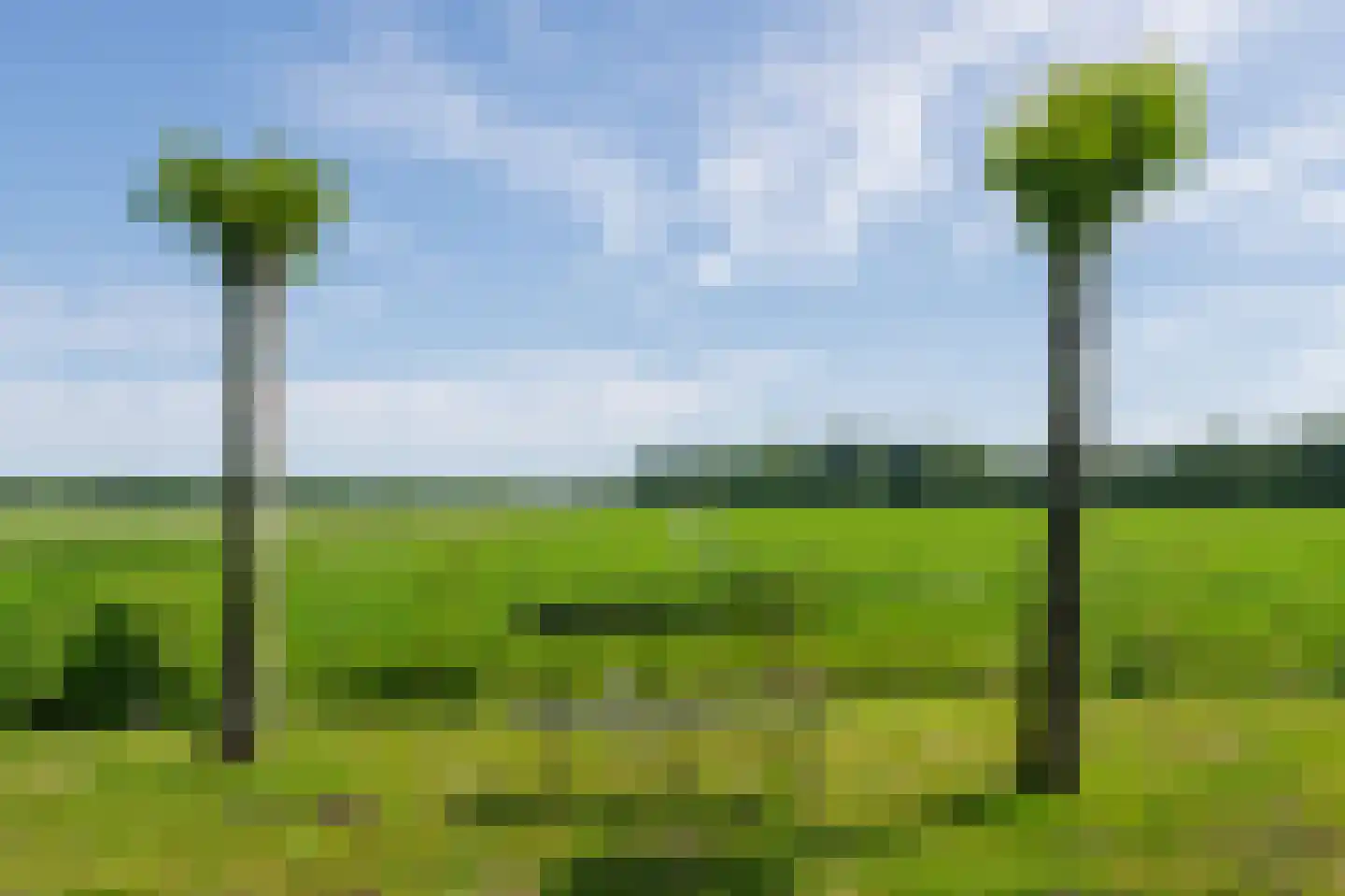 Oudeweg 31 Westerbroek thumbnail 22
