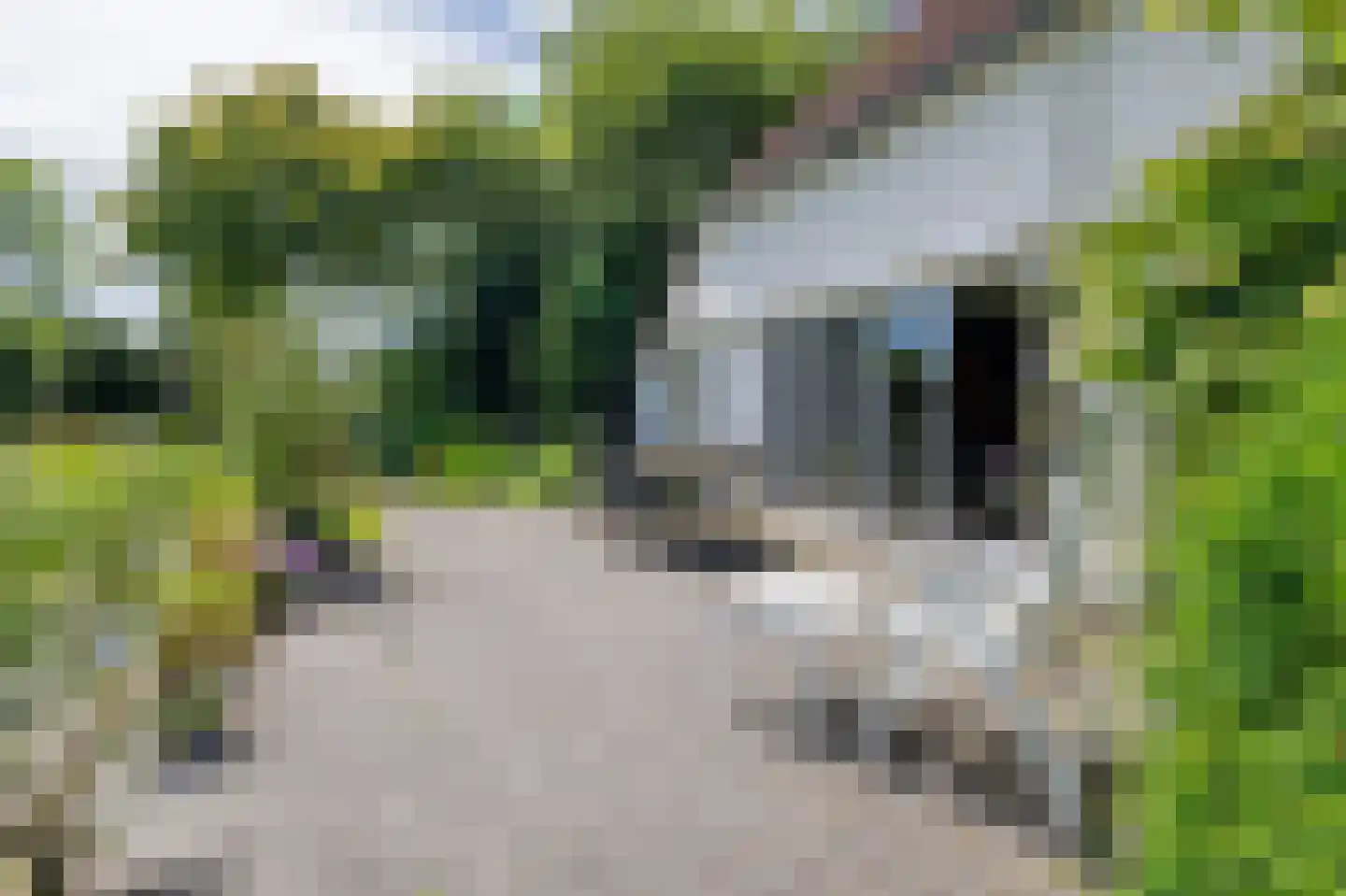 Oudeweg 31 Westerbroek thumbnail 33