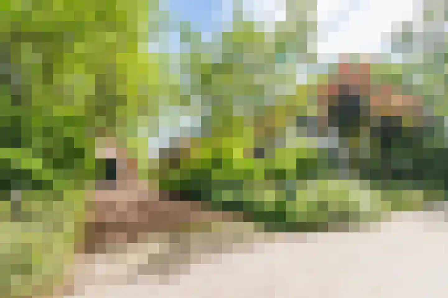 Oudeweg 31 Westerbroek thumbnail 8