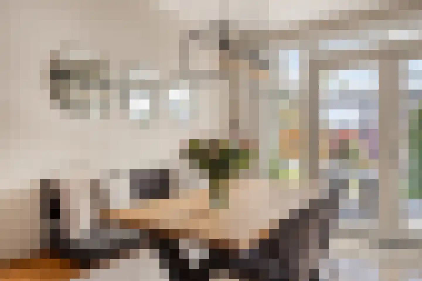 Oudeweg 32 Linne thumbnail 10