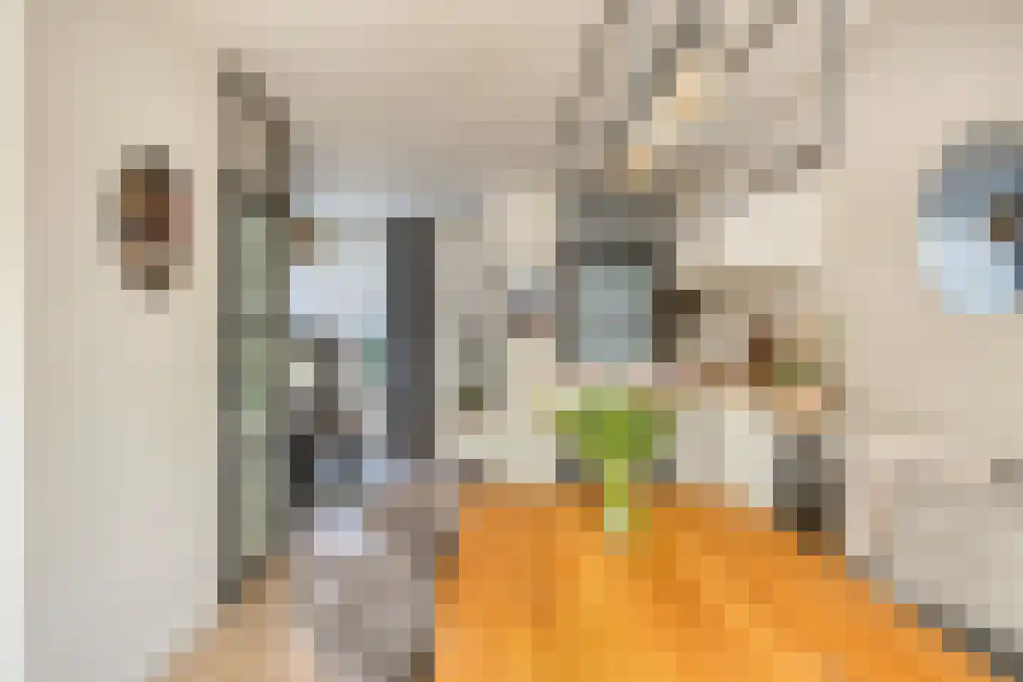 Oudeweg 32 Linne thumbnail 11