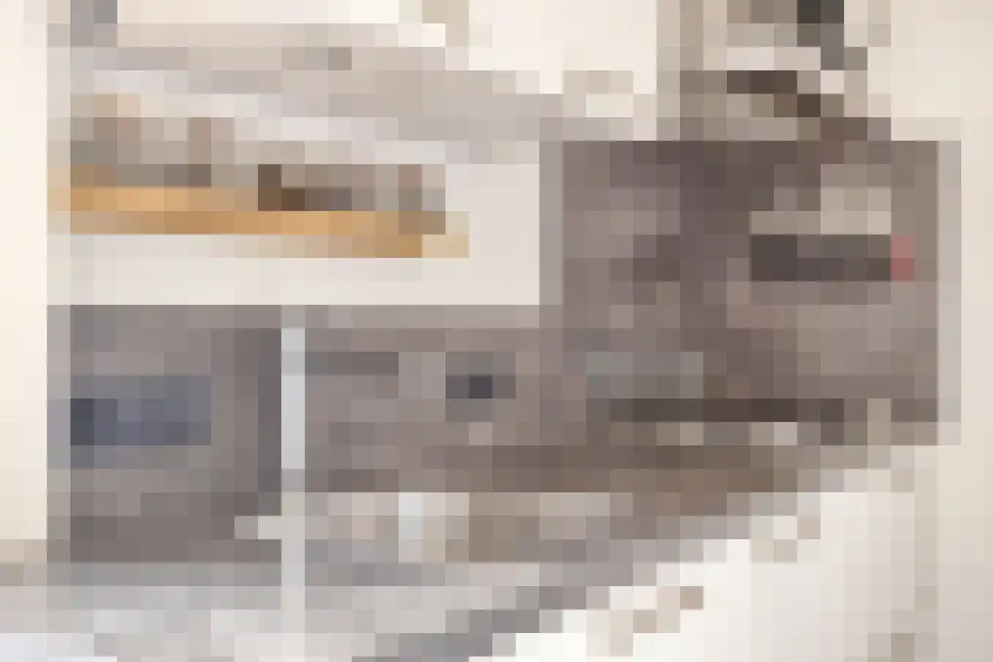 Oudeweg 32 Linne thumbnail 15