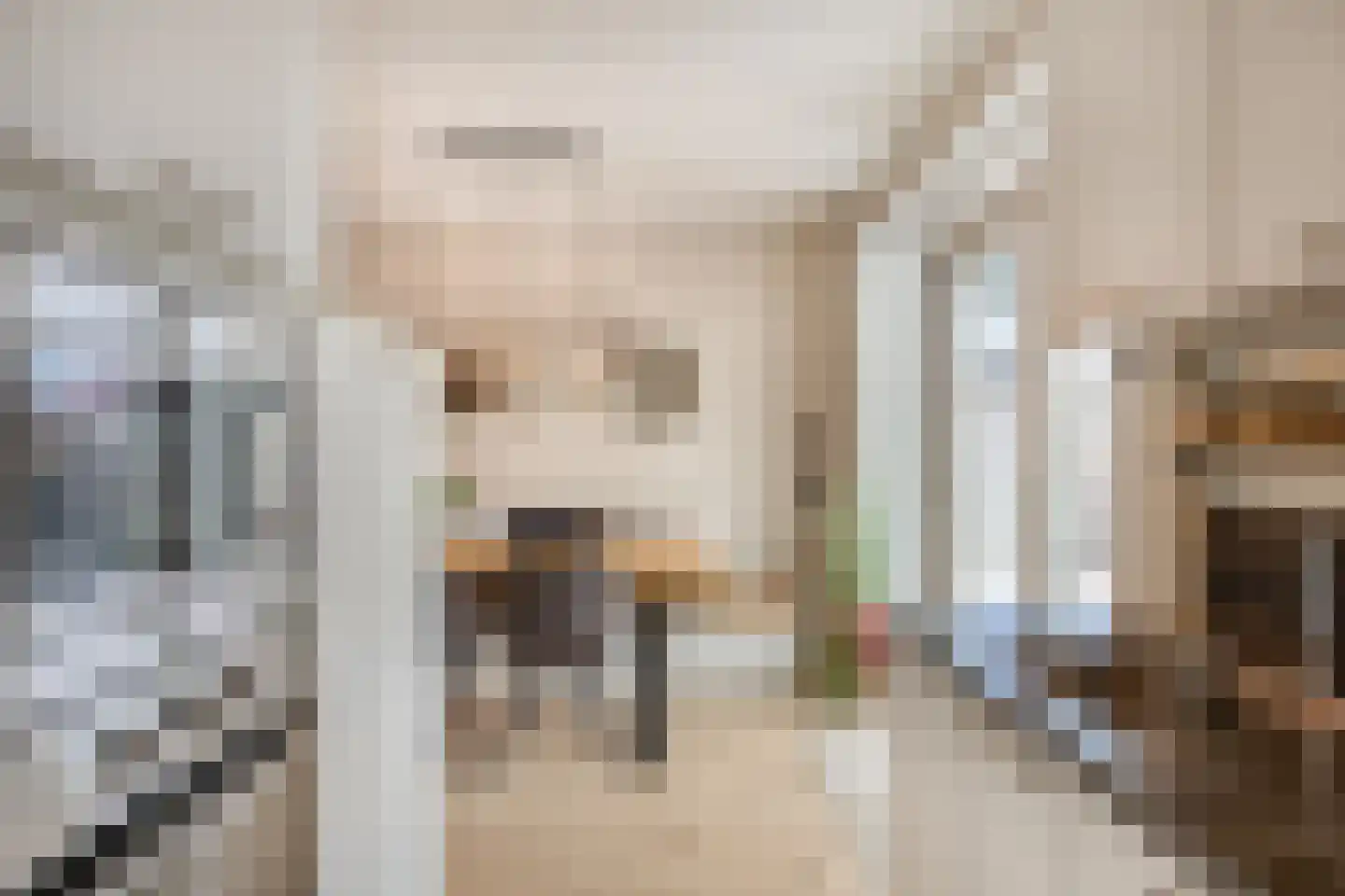 Oudeweg 32 Linne thumbnail 16
