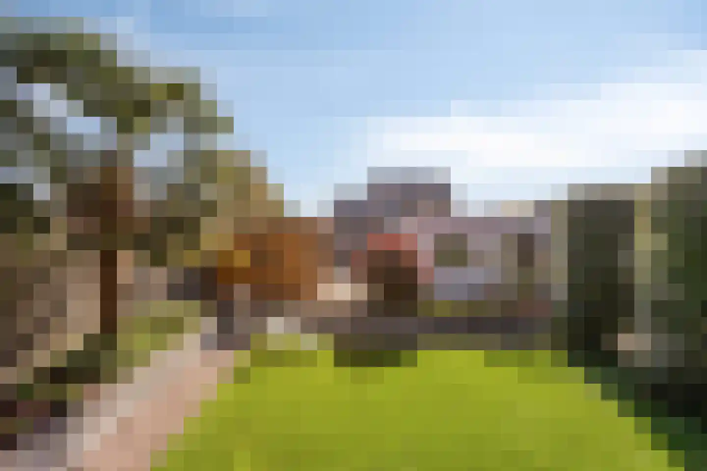 Oudeweg 32 Linne thumbnail 30