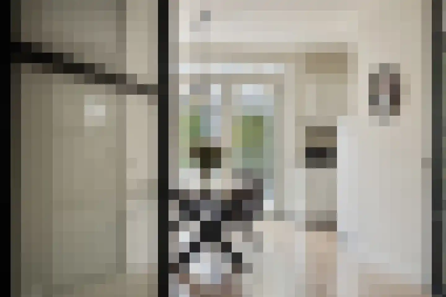 Oudeweg 32 Linne thumbnail 4
