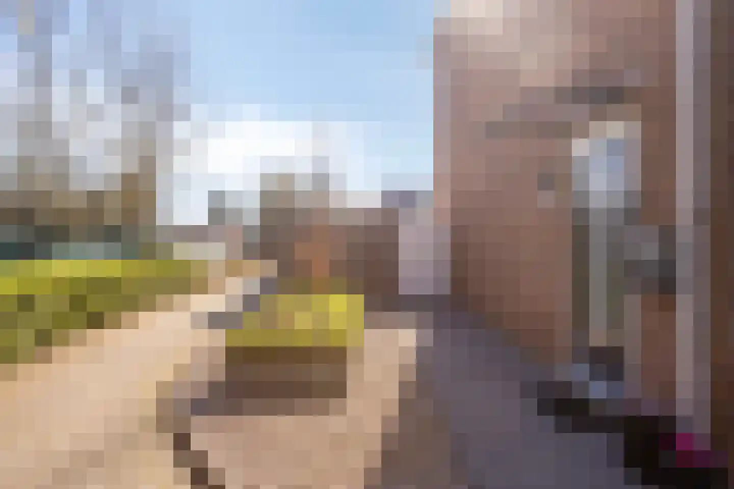 Oudeweg 32 Linne thumbnail 42