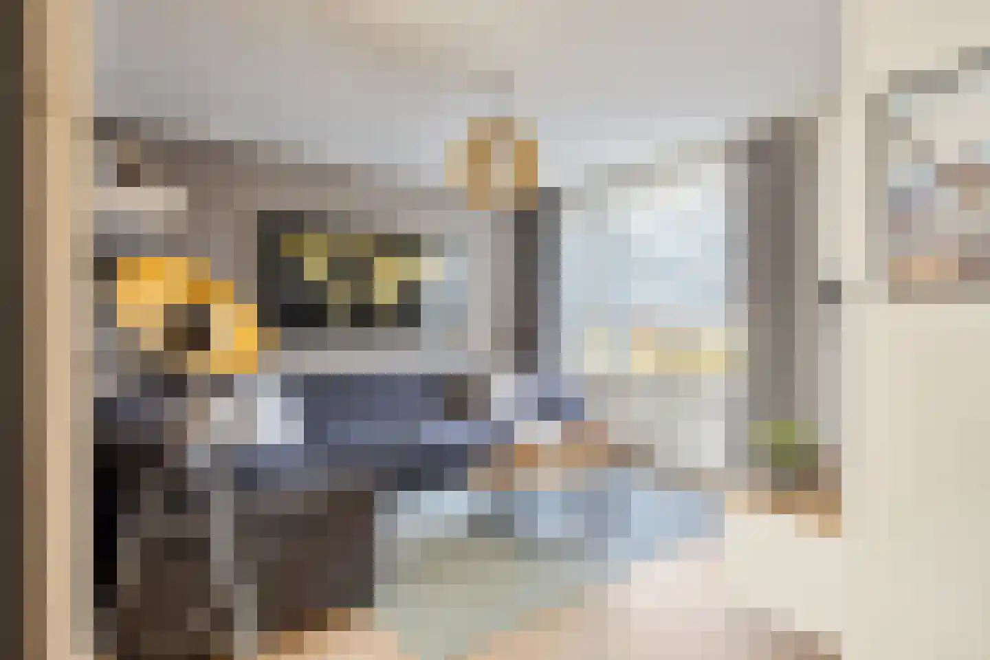 Oudeweg 32 Linne thumbnail 5
