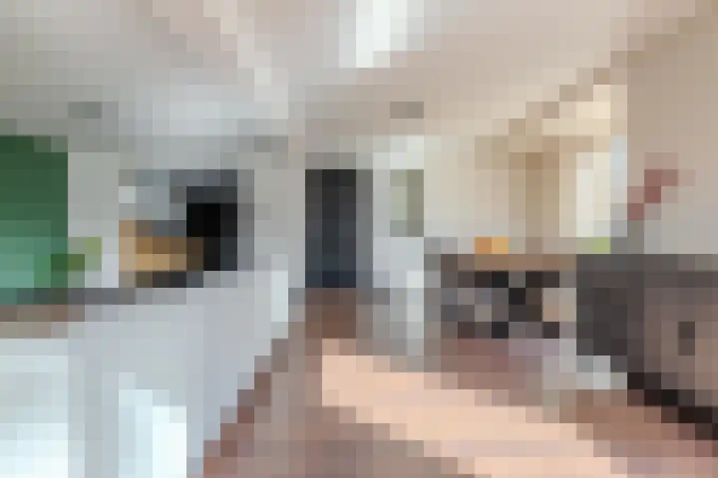 Oudeweg 32 Siddeburen thumbnail 15