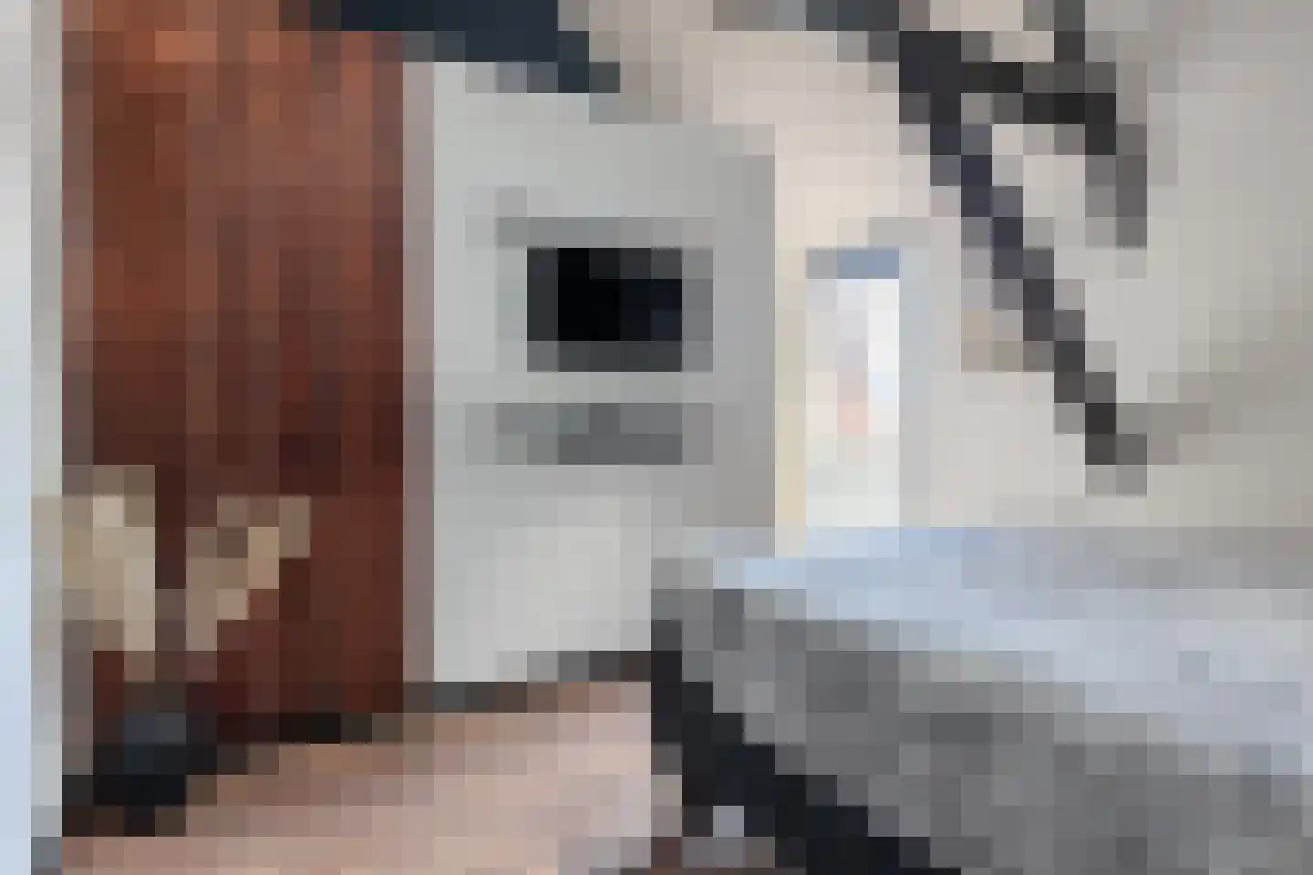 Oudeweg 32 Siddeburen thumbnail 31
