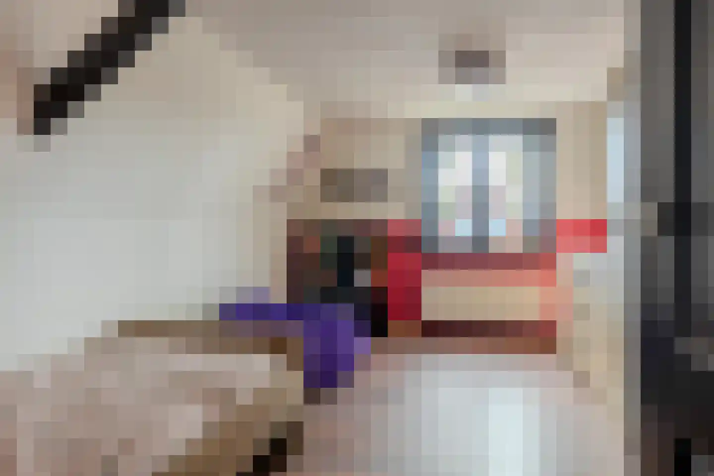 Oudeweg 32 Siddeburen thumbnail 38