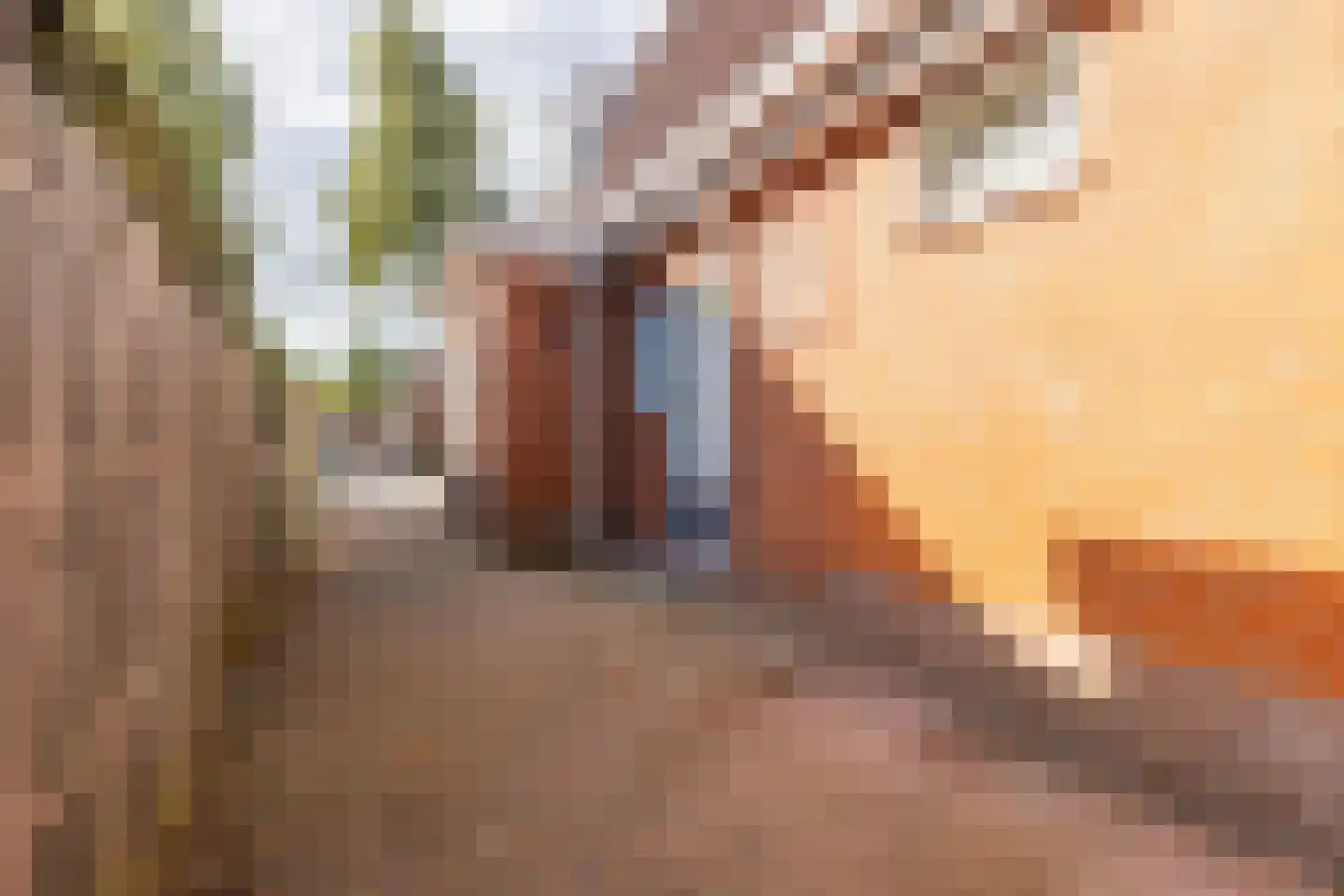 Oudeweg 32 Siddeburen thumbnail 6