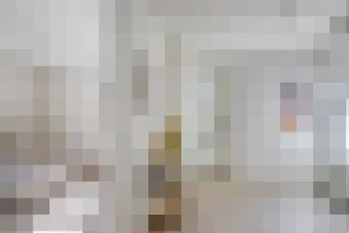 Oudeweg 33 Swalmen thumbnail 24