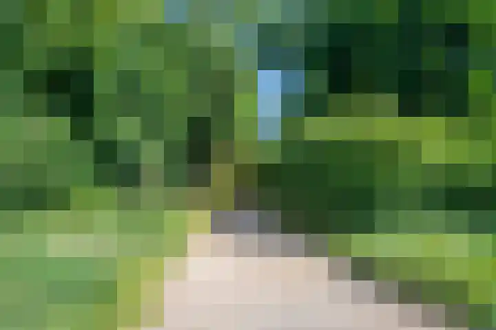 Oudeweg 33 Swalmen thumbnail 48