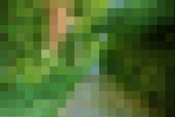 Oudeweg 33 Swalmen thumbnail 49