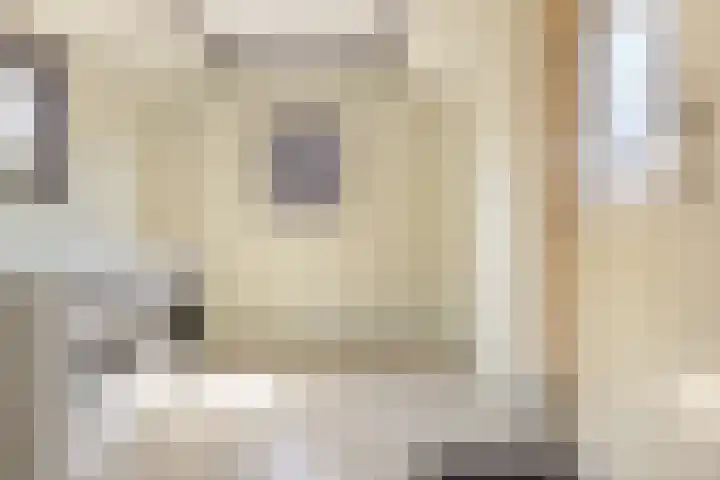 Oudeweg 37 Siddeburen thumbnail 17