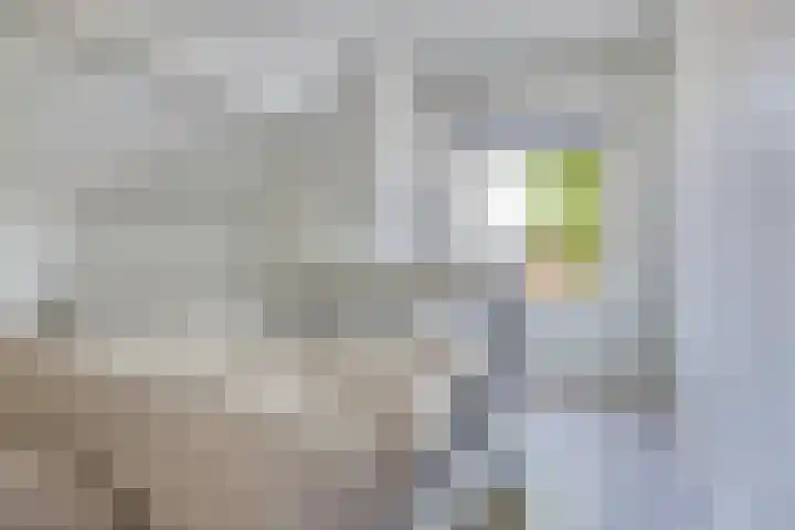 Oudeweg 37 Siddeburen thumbnail 22