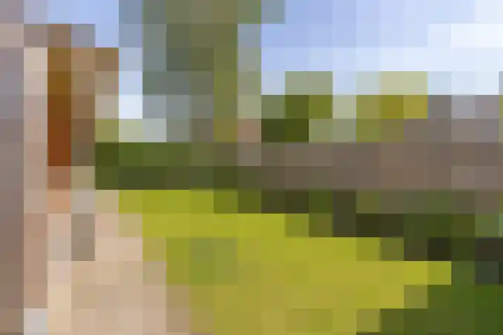 Oudeweg 37 Siddeburen thumbnail 4