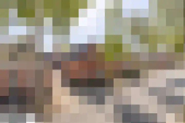 Oudeweg 37 Siddeburen thumbnail 47
