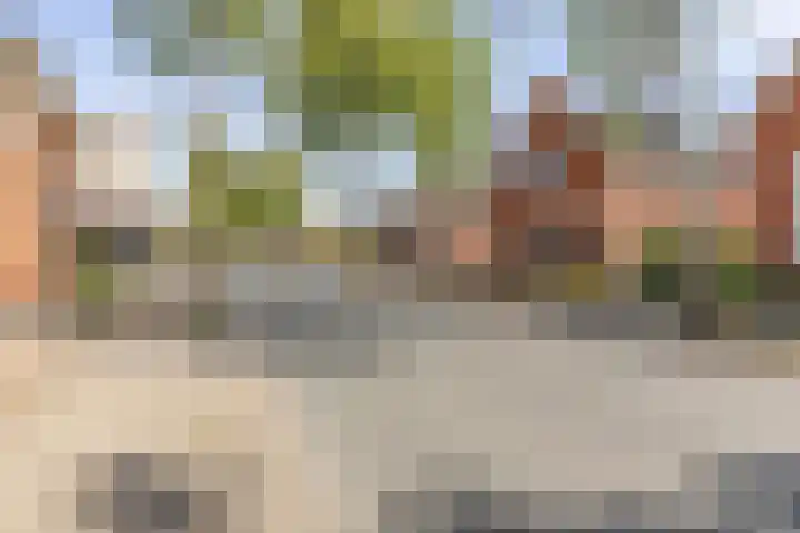 Oudeweg 37 Siddeburen thumbnail 48