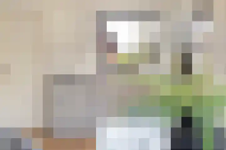 Oudeweg 37 Siddeburen thumbnail 5