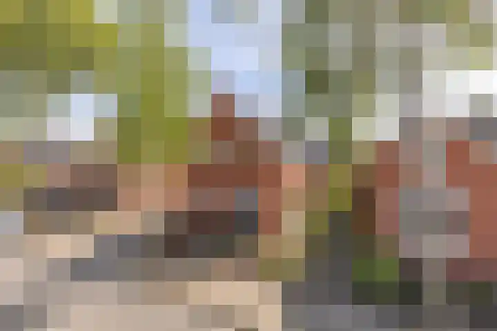 Oudeweg 37 Siddeburen thumbnail 8