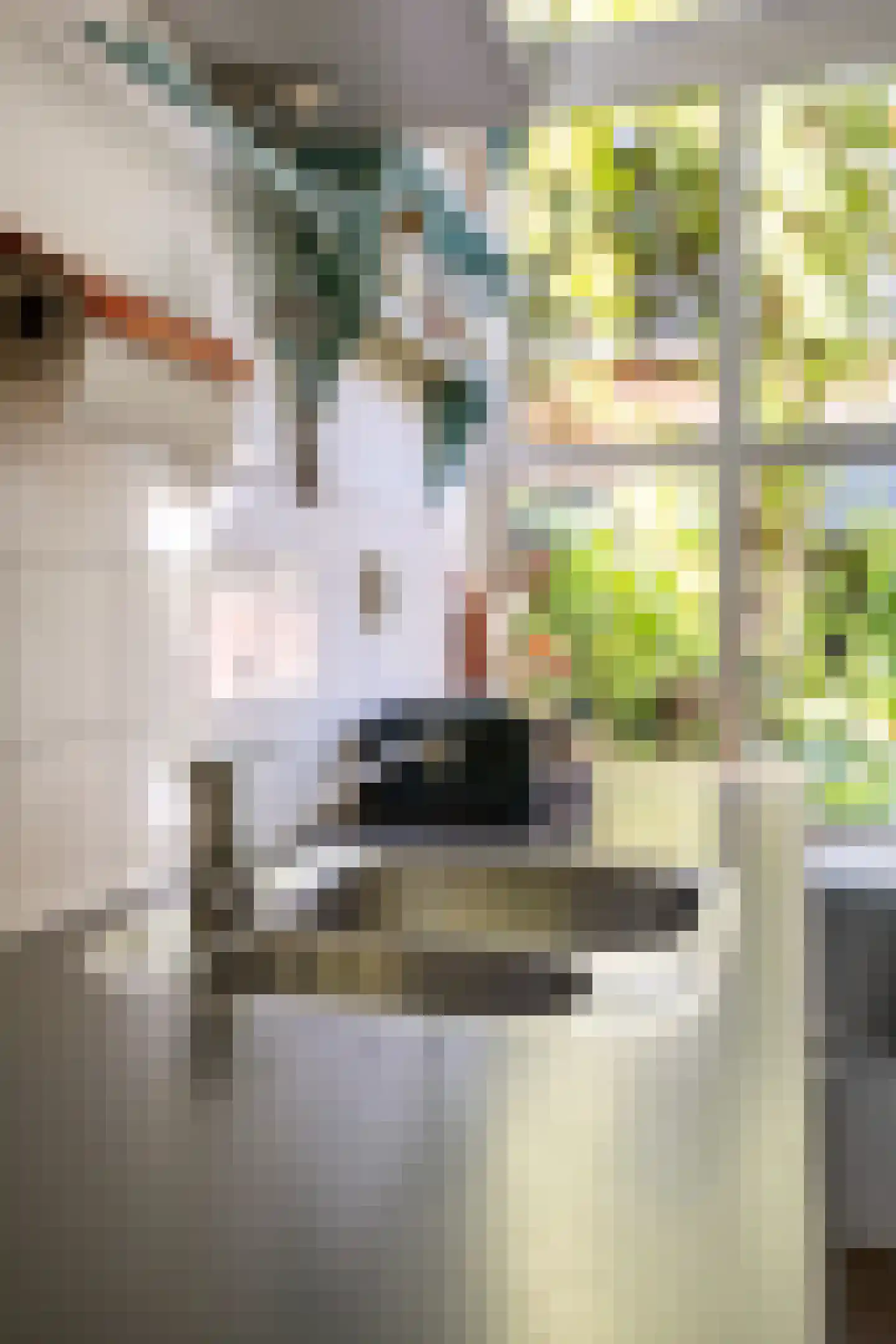 Oudeweg 38 3 Groningen thumbnail 34