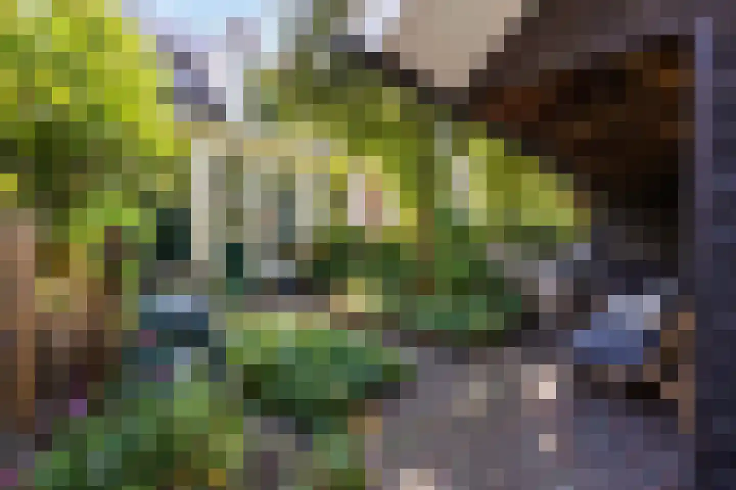 Oudeweg 38 3 Groningen thumbnail 4