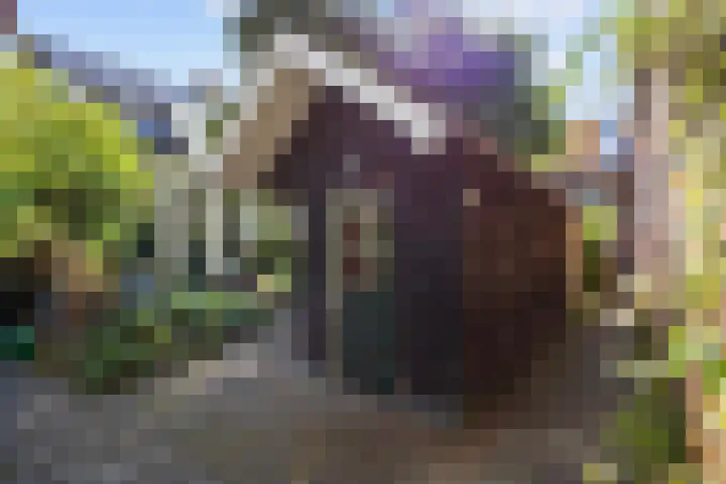Oudeweg 38 3 Groningen thumbnail 9