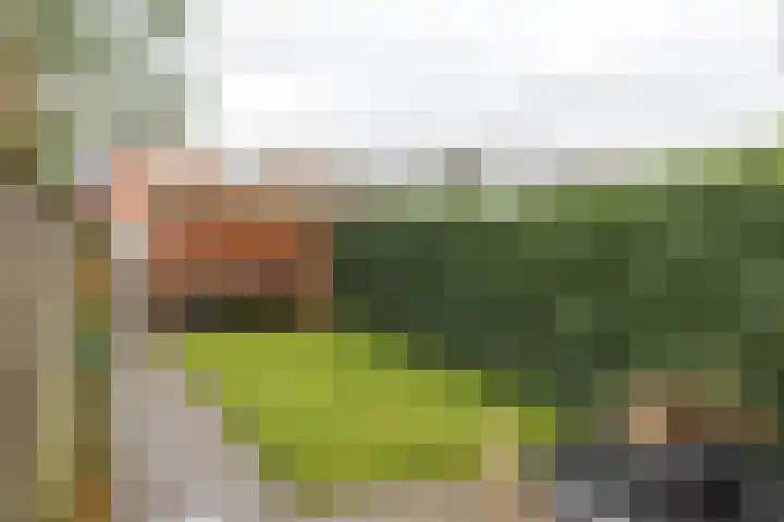Oudeweg 38 Drachten thumbnail 12