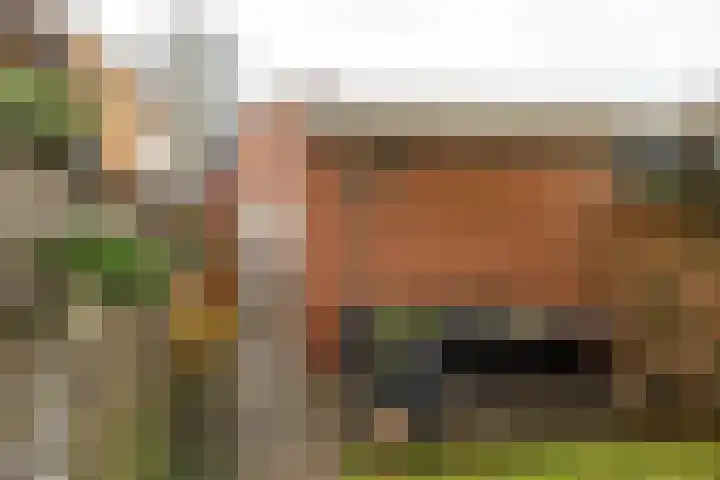 Oudeweg 38 Drachten thumbnail 14