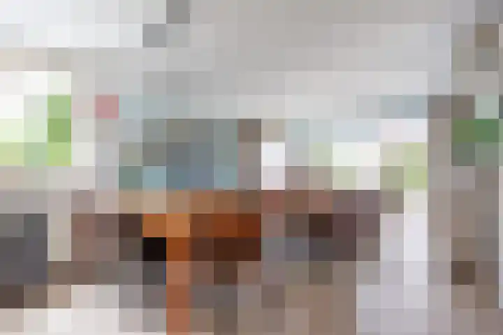 Oudeweg 39 Eenrum thumbnail 11