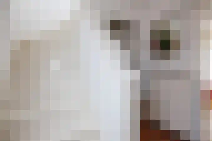 Oudeweg 39 Eenrum thumbnail 24