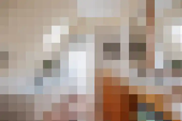 Oudeweg 39 Eenrum thumbnail 30