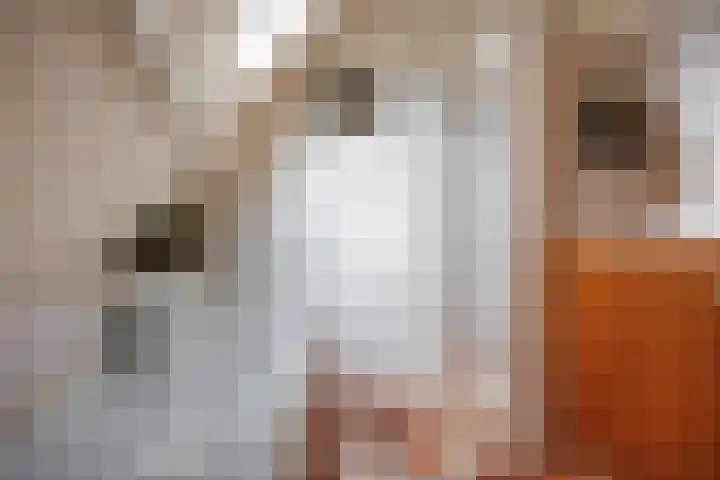 Oudeweg 39 Eenrum thumbnail 31