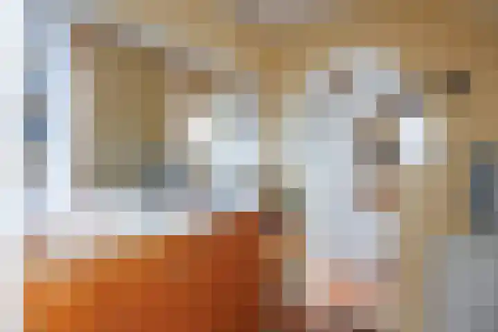 Oudeweg 39 Eenrum thumbnail 32