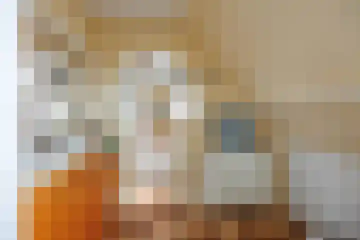 Oudeweg 39 Eenrum thumbnail 33