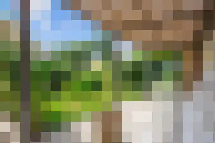 Oudeweg 39 Eenrum thumbnail 35