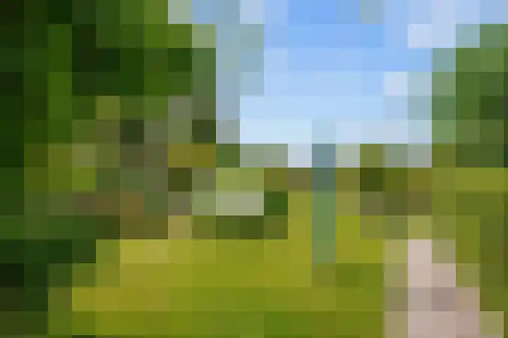 Oudeweg 39 Eenrum thumbnail 36
