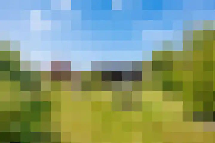 Oudeweg 39 Eenrum thumbnail 38