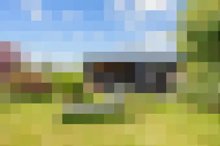 Oudeweg 39 Eenrum thumbnail 39