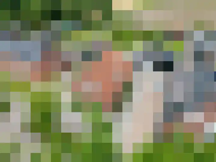 Oudeweg 39 Eenrum thumbnail 4