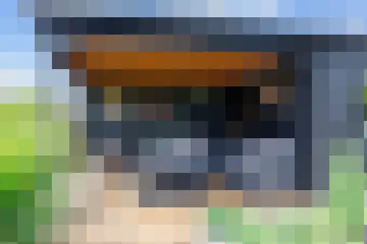 Oudeweg 39 Eenrum thumbnail 40