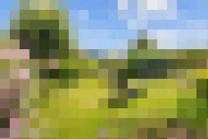 Oudeweg 39 Eenrum thumbnail 41