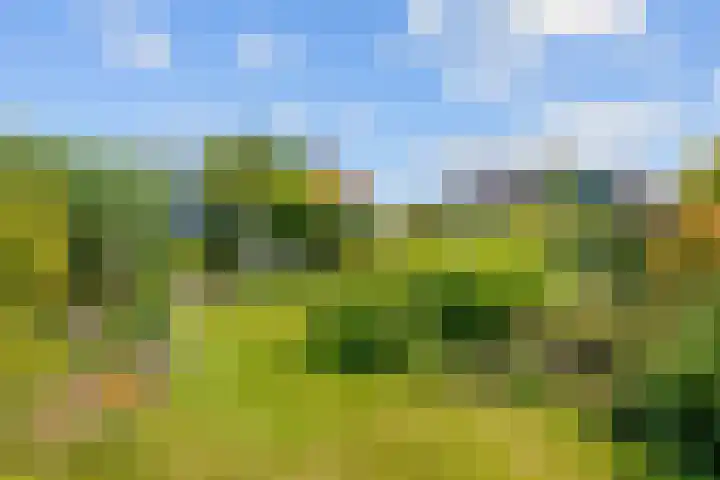 Oudeweg 39 Eenrum thumbnail 42