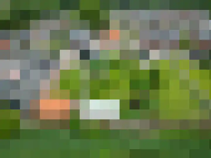 Oudeweg 39 Eenrum thumbnail 5