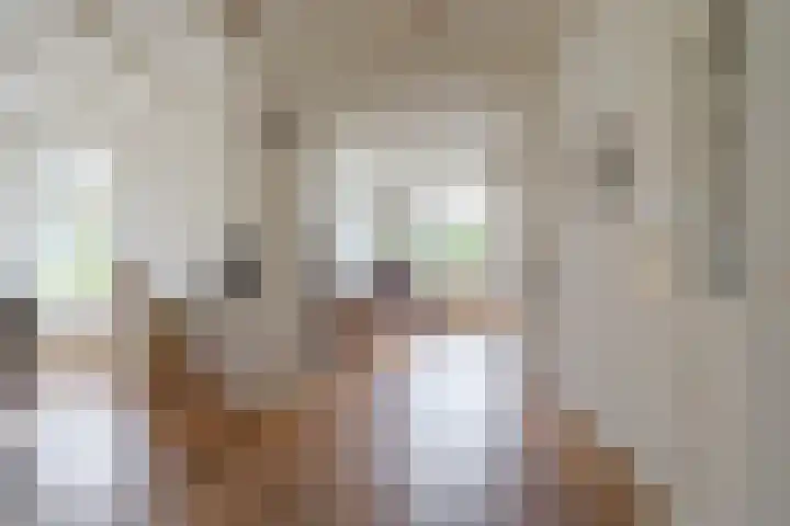 Oudeweg 47 Nuis thumbnail 17