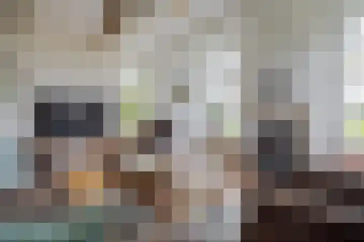 Oudeweg 47 Nuis thumbnail 19