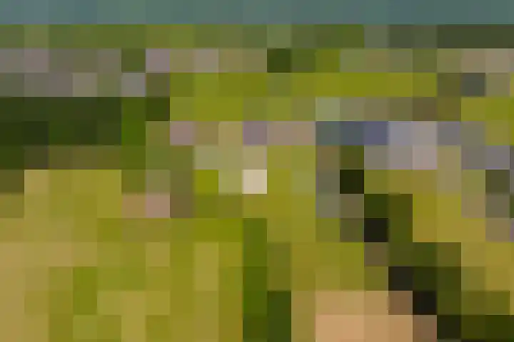 Oudeweg 47 Nuis thumbnail 4